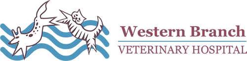 Western Branch Veterinary Hospital Home
